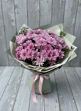 Букет цветов из:  Хризантемы #REPLACE_PRED# Даровской