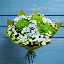 Букет цветов из:  Хризантемы #REPLACE_PRED# Даровской